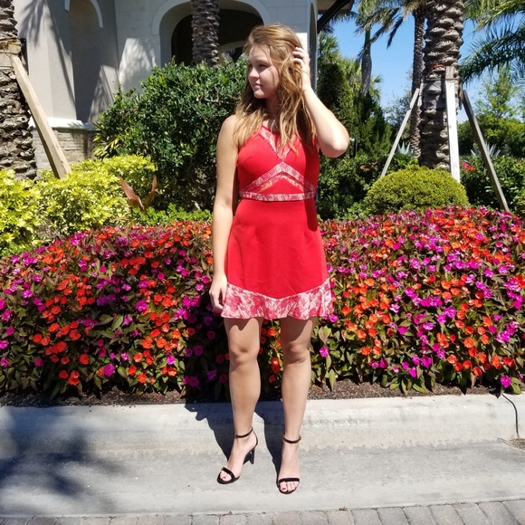 Red Tan Lace Skater Dress with Lace Back - Picture 2 of 7